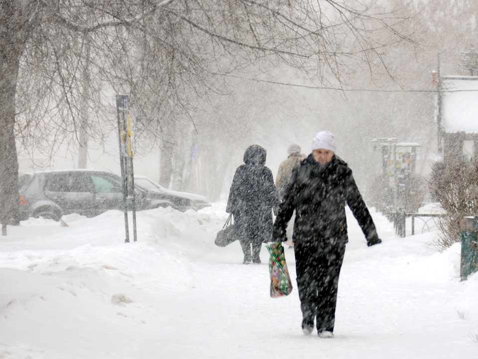 Фото: медиасток.рф