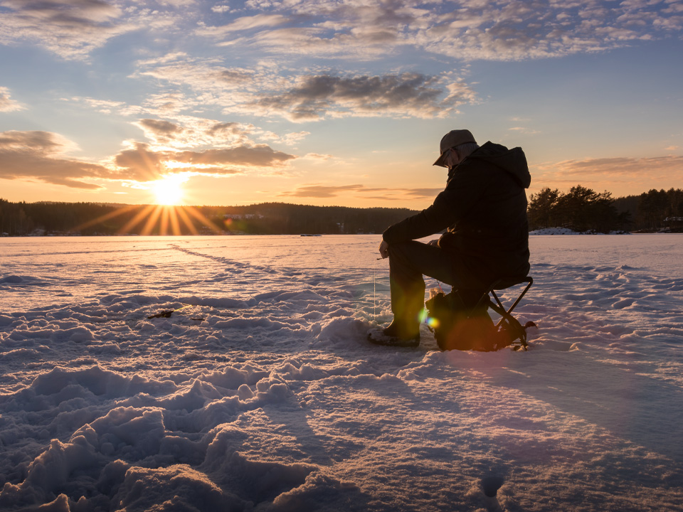Фото: istockphoto.com/mariannehoy 