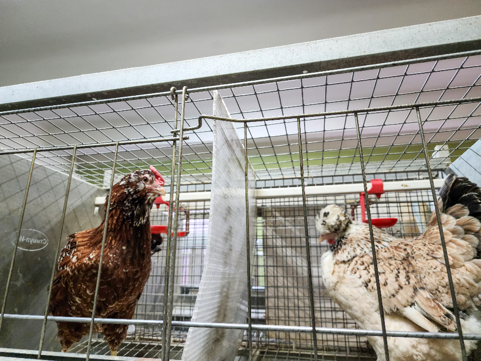 Фото: МедиаБанк Подмосковья/Мария Андрюхина