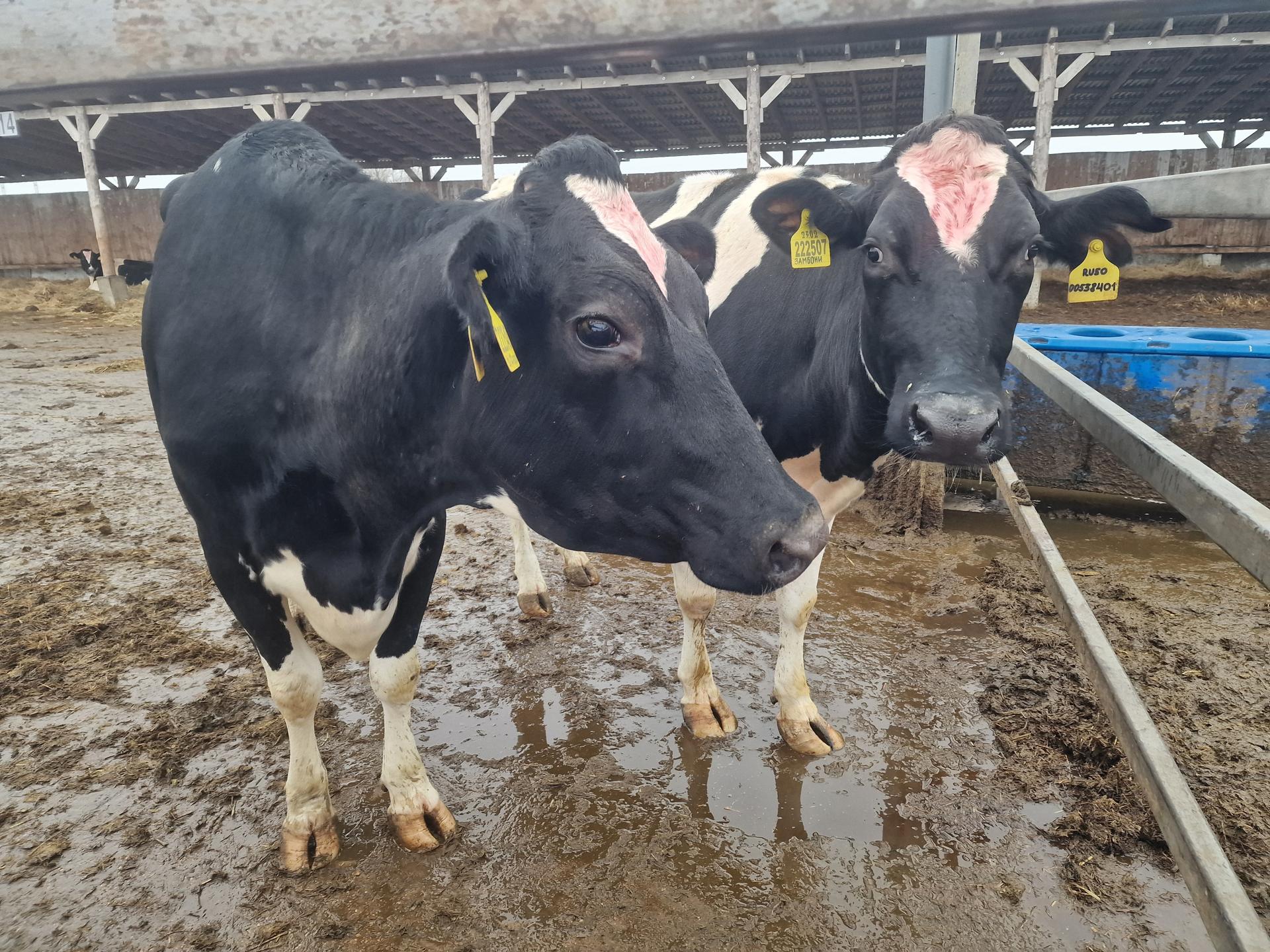 Фото: REGIONS/Ольга Шаронова