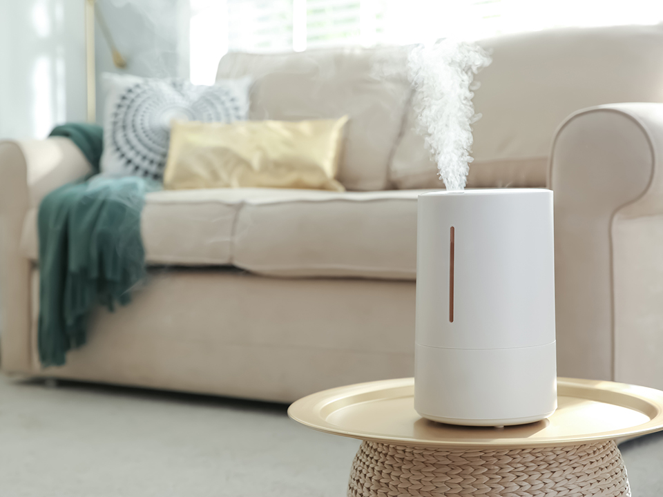 Фото: istockphoto.com/Liudmila Chernetska