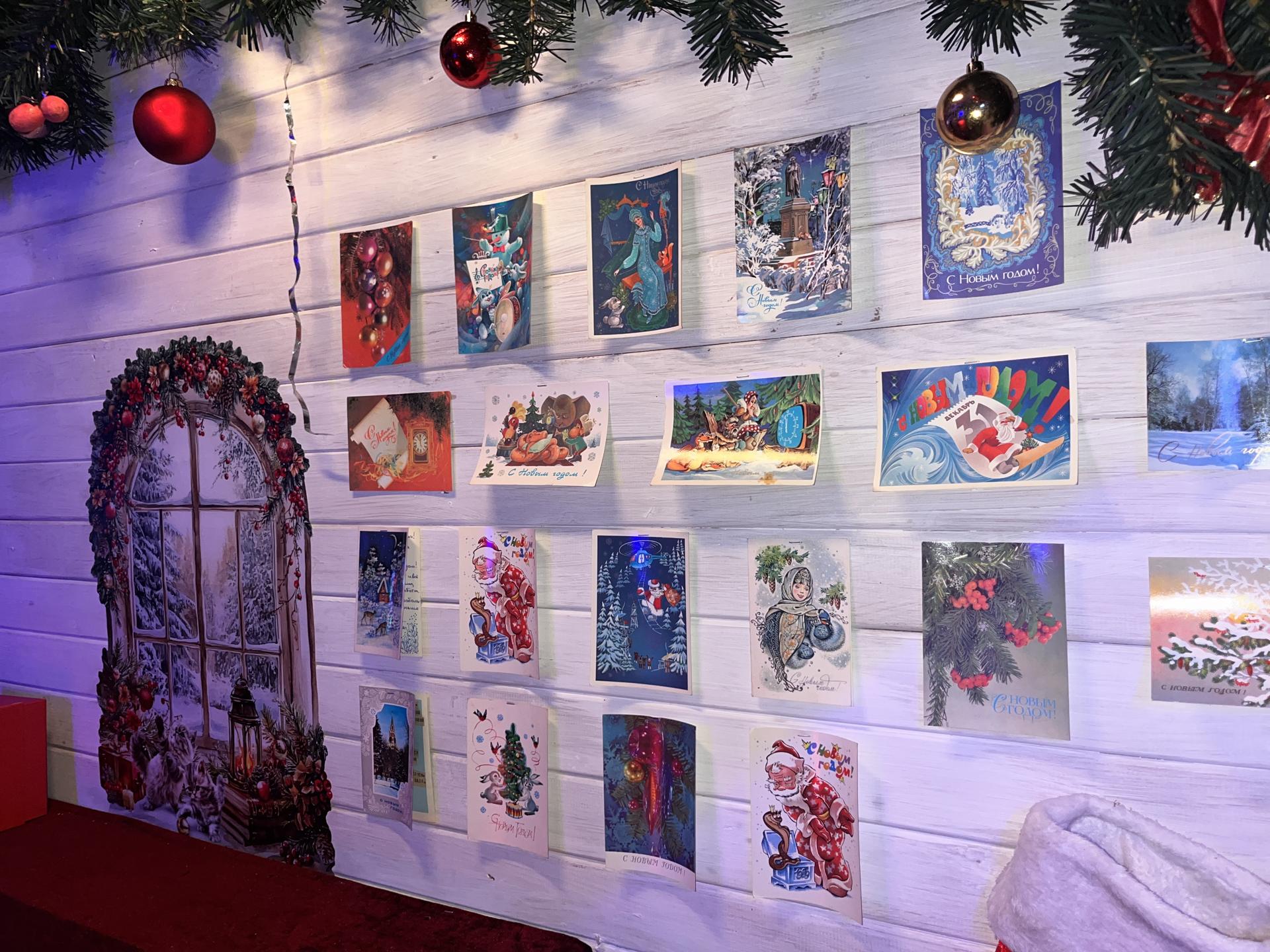 Фото: МедиаБанк Подмосковья/Ангелина Стельмух