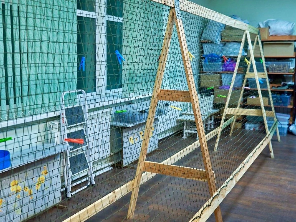 Фото: t.me/sobakin_mn