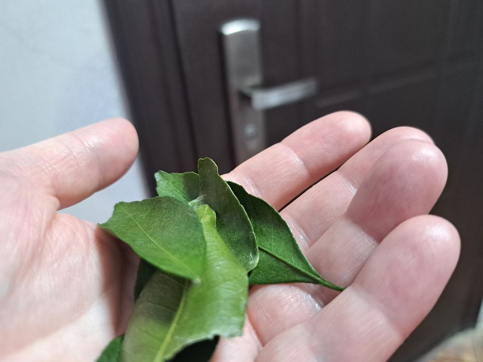 Фото: REGIONS/Татьяна Замятина