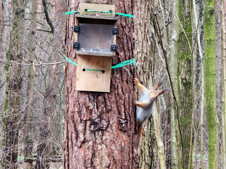Фото: МедиаБанк Подмосковья/Мария Андрюхина