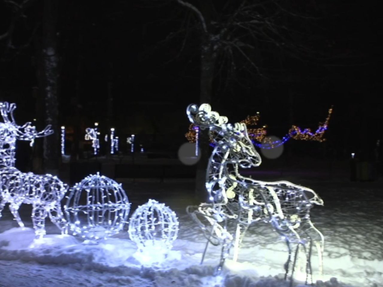 Фото: t.me/ParkVerbilki