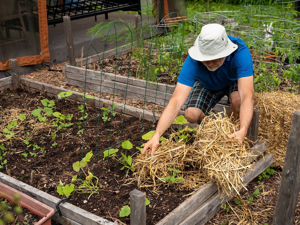 Фото: istockphoto.com/Marc Dufresne