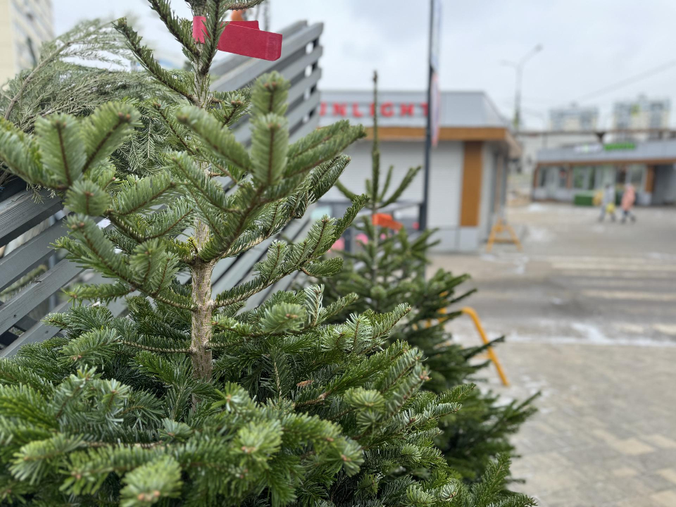 Фото: Полина Абраменко