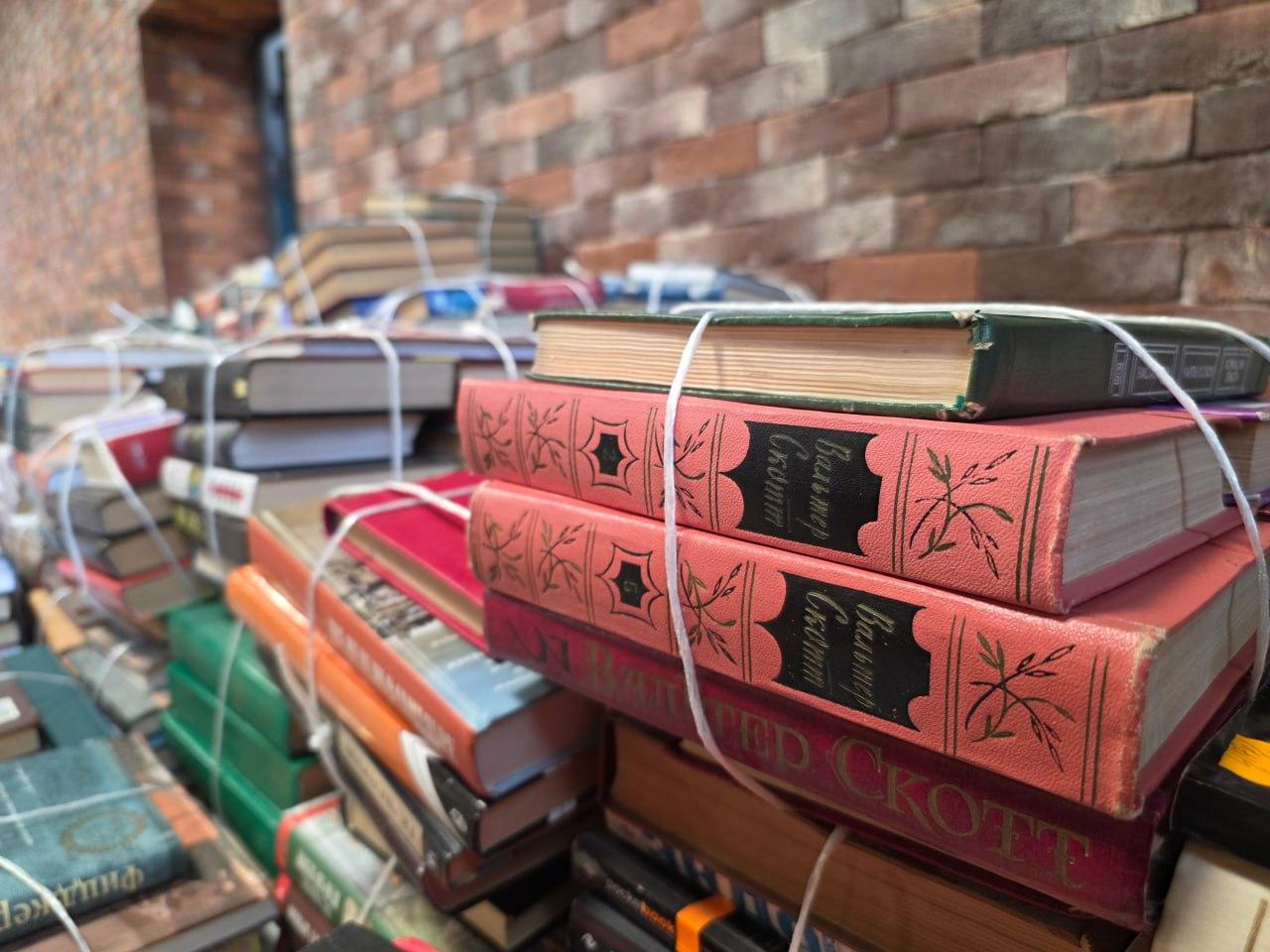 Фото: Раменский медиацентр