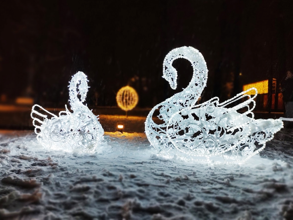 Фото: REGIONS/Алексей Селиверстов