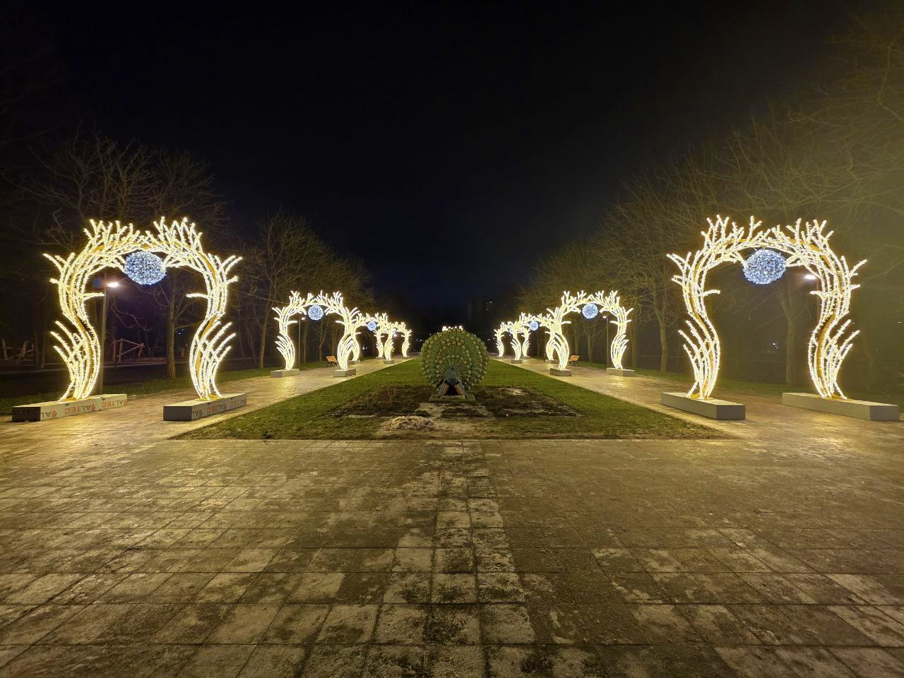 Фото: пресс-служба администрации г.о. Серпухов