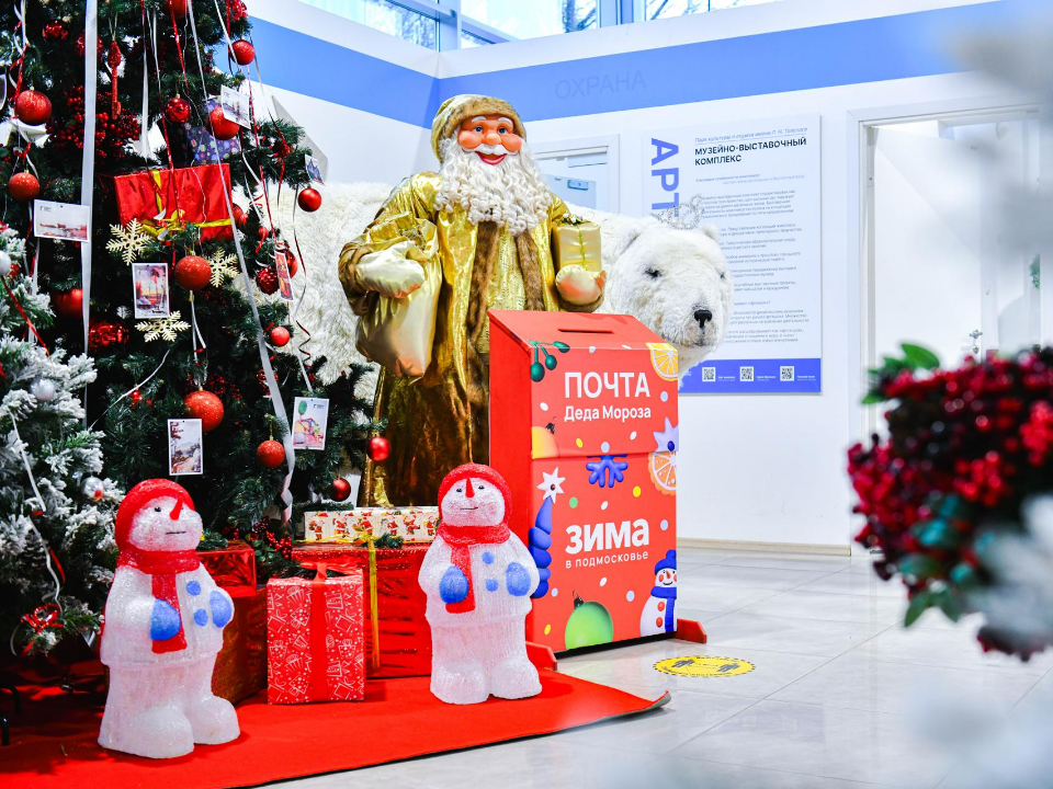 Фото: пресс-служба администрации г.о. Химки