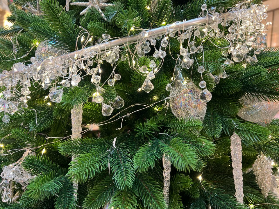 Фото: REGIONS/Елена Фурман