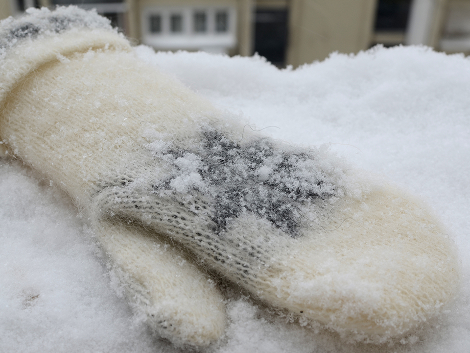 Фото: istockphoto.com/Banepx