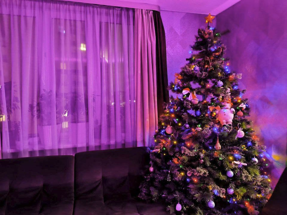 Фото: Роман Малышенко