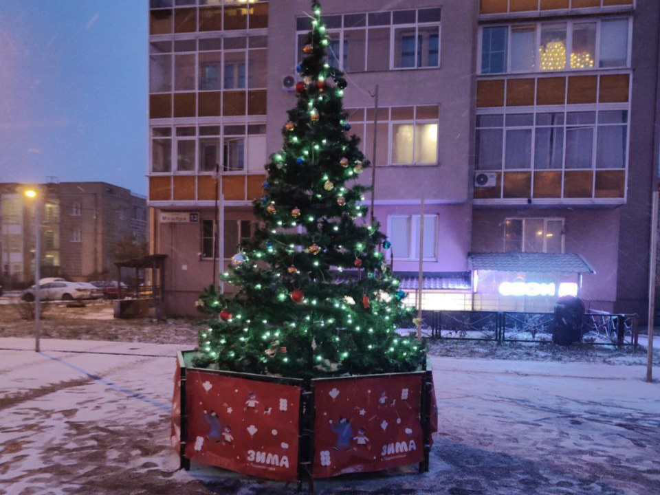 Фото: пресс-служба администрации Балашихи