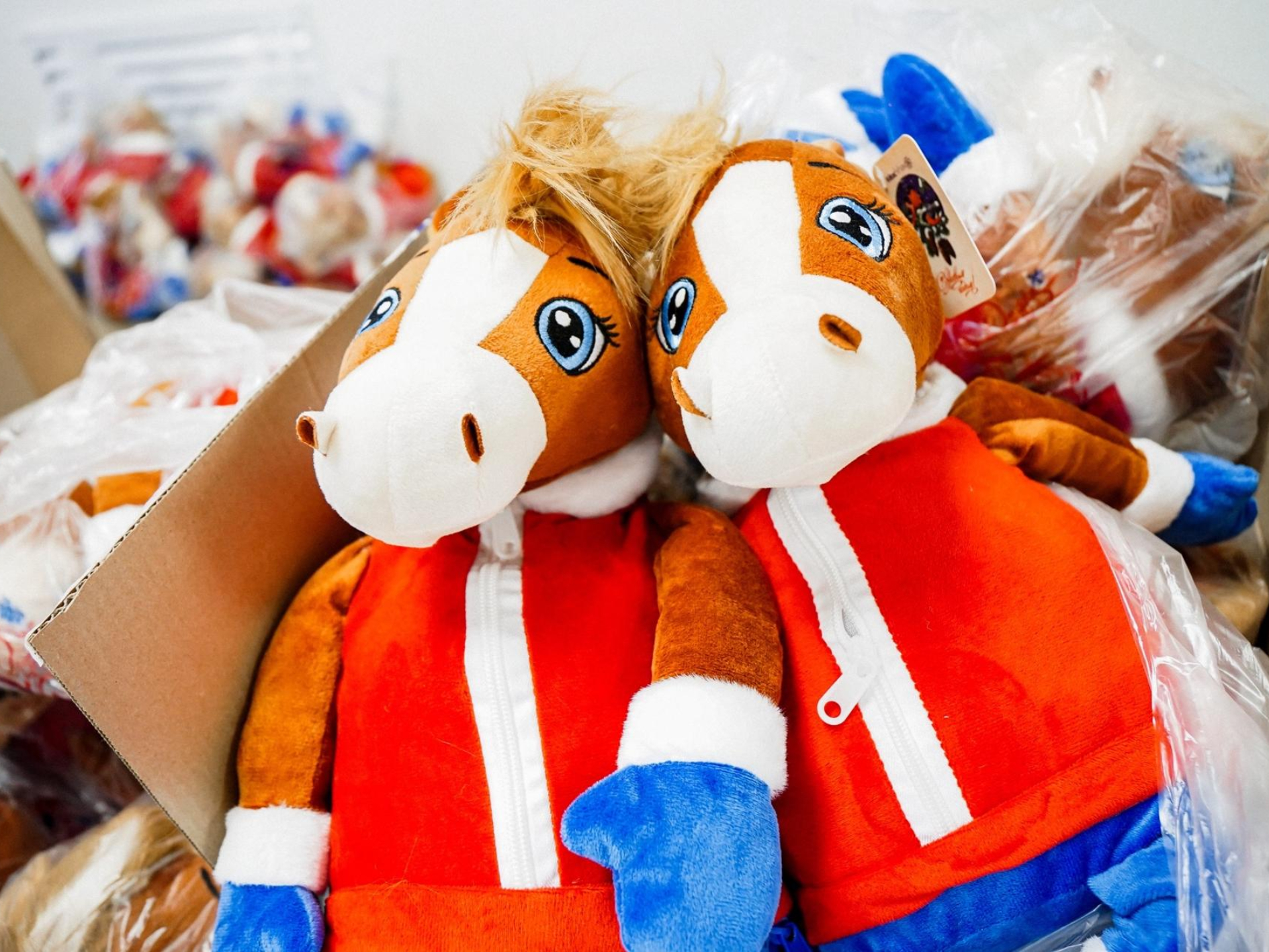 Фото: пресс-служба администрации Шатурского округа