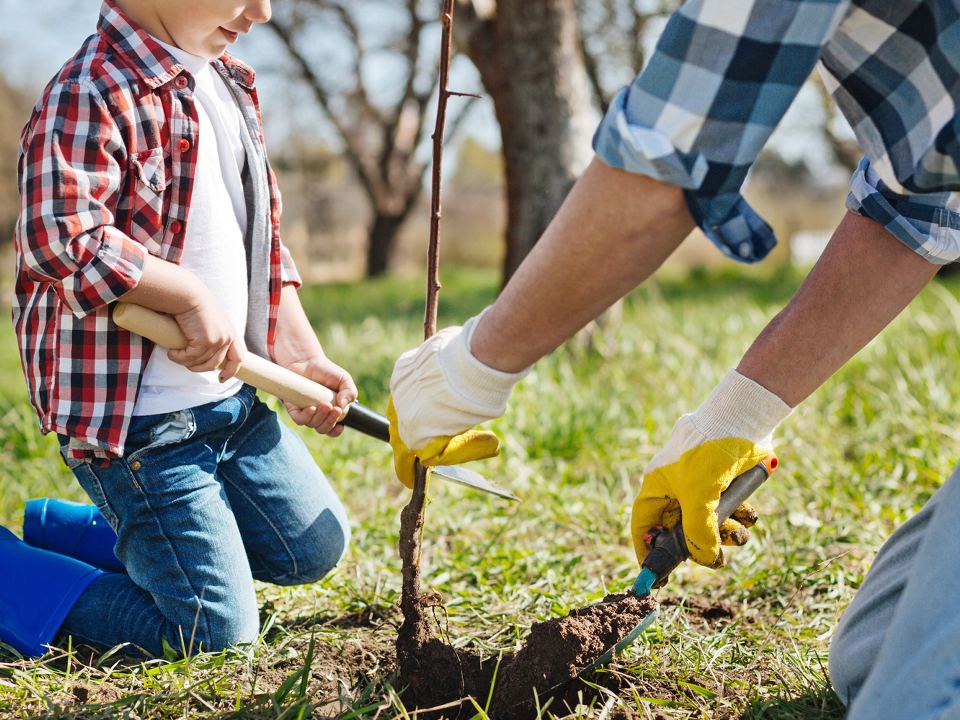Фото: istockphoto.com/Zinkevych