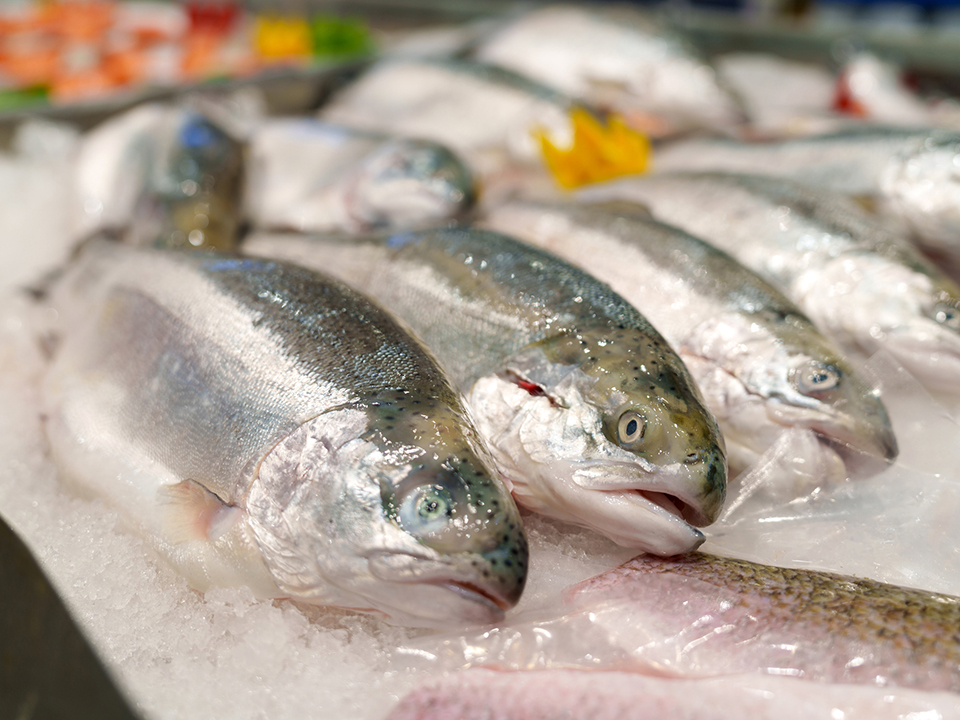 Фото: istockphoto.com/Thai Liang Lim