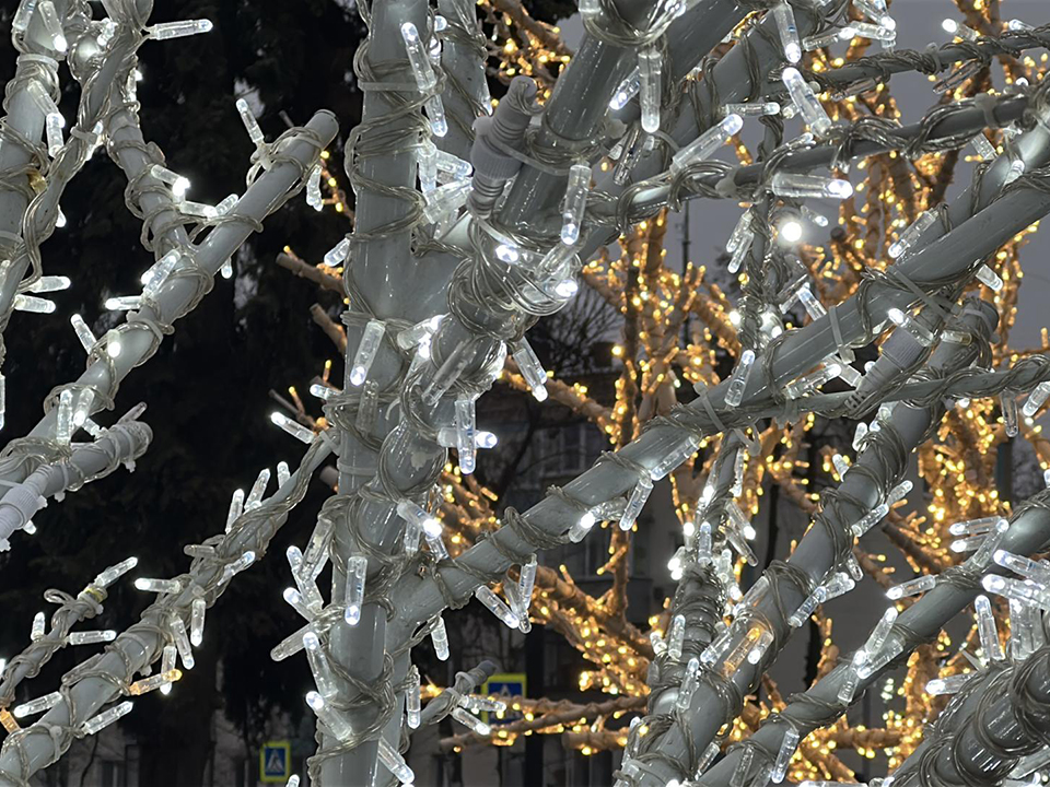 Фото: МедиаБанк Подмосковья/Кристина Тришина