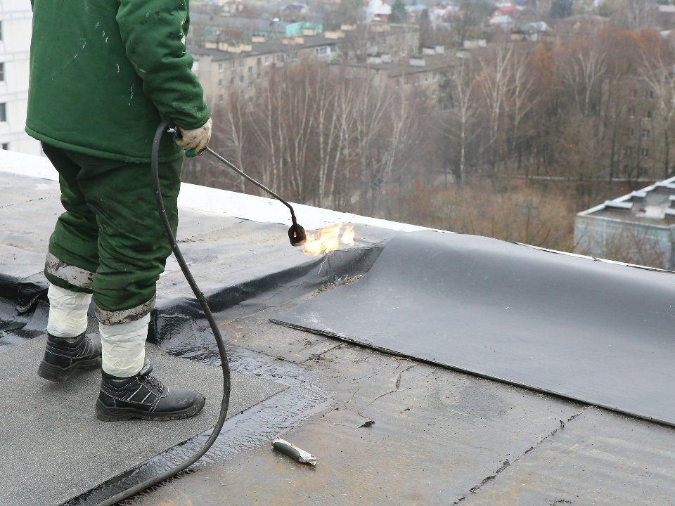 Фото: пресс-служба администрации г.о. Химки