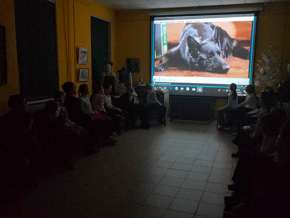 Фото: МедиаБанк Подмосковья/Михаил Раскин