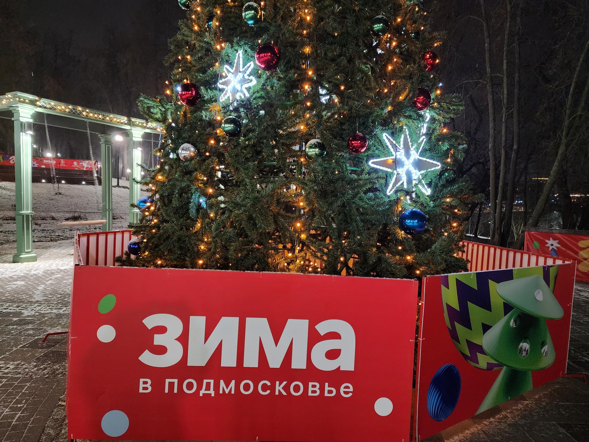 Фото: МедиаБанк Подмосковья/Ирина Моисеева