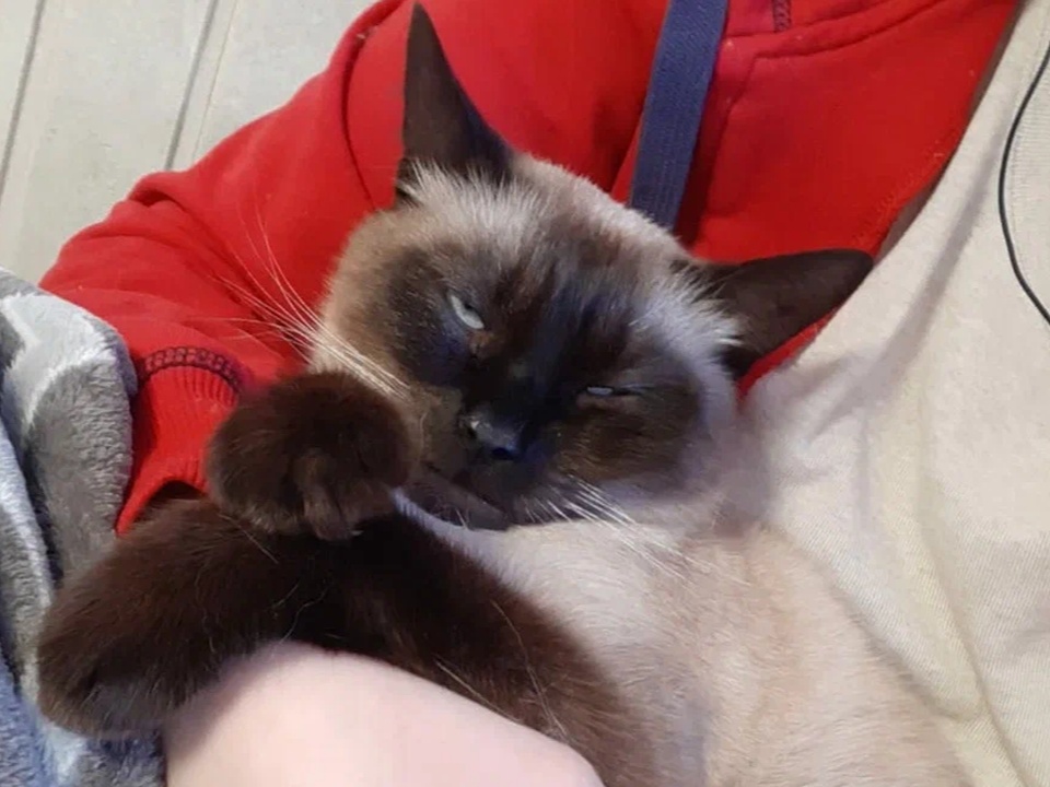 Фото: REGIONS/Наталия Надточая