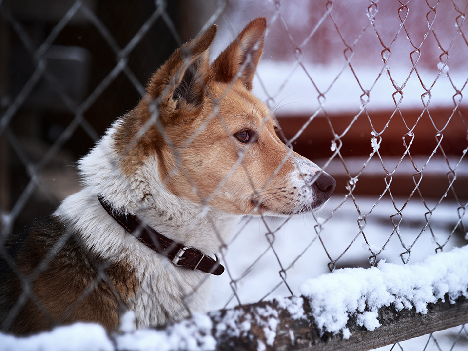 Фото: медиасток.рф