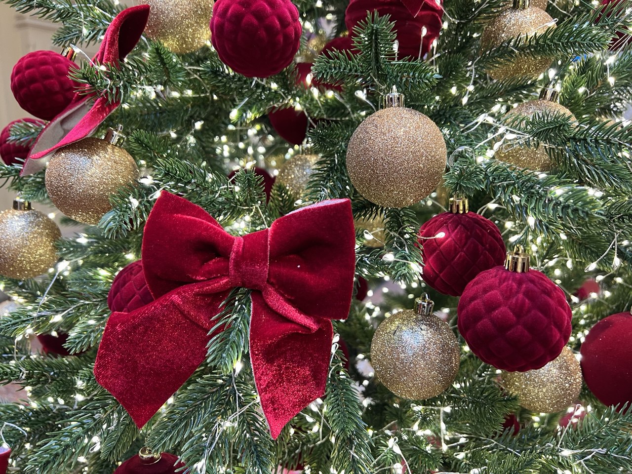 Фото: REGIONS/Елена Фурман