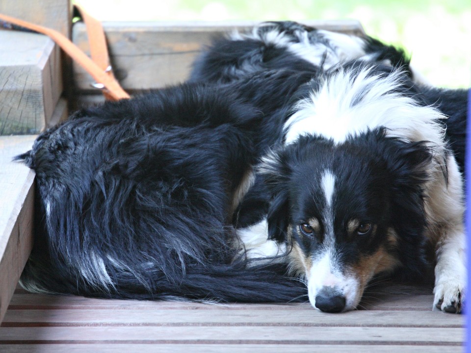 Фото: Ирина Зубарева