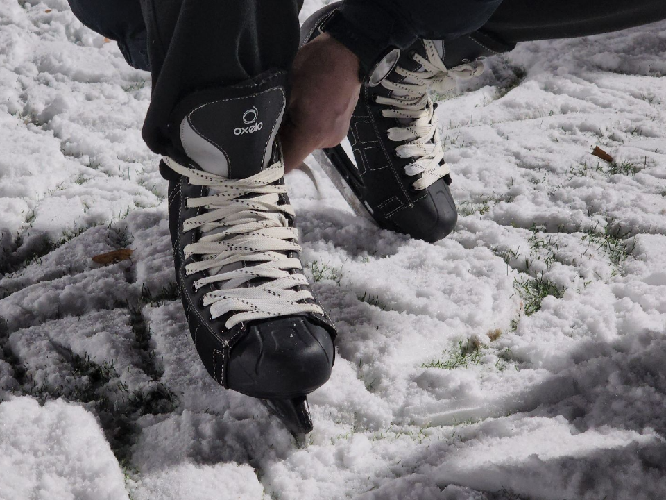 Фото: МедиаБанк Подмосковья/Артем Мишуков