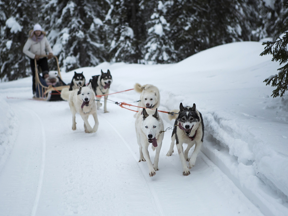 Фото: istockphoto.com/rkankaro