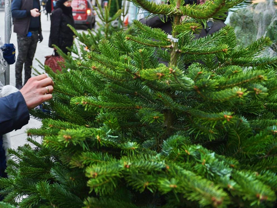 Фото: медиасток.рф