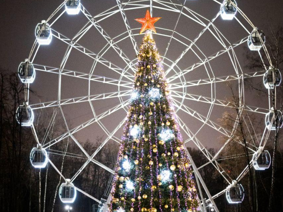 Фото: пресс-служба администрации г.о. Люберцы