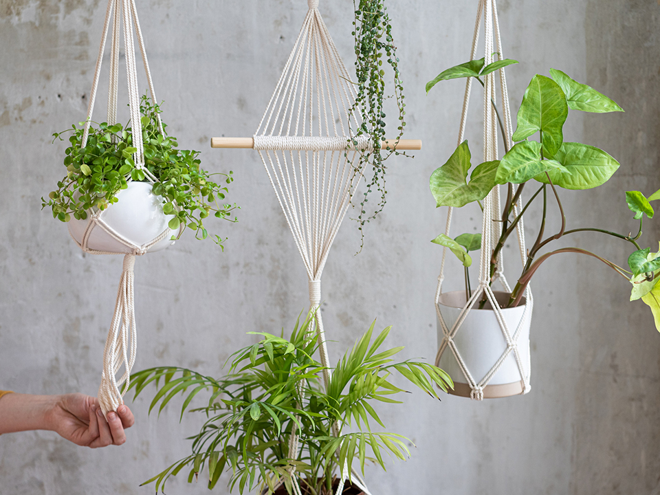 Фото: istockphoto.com/Dima Berlin