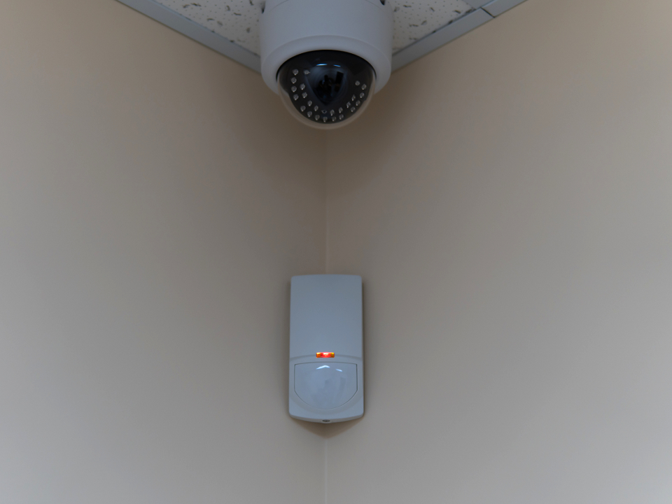 Фото: istockphoto.com/OLEKSANDR KOZACHOK