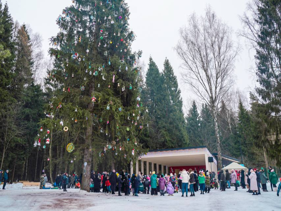 Фото: пресс-служба администрации г.о. Клин