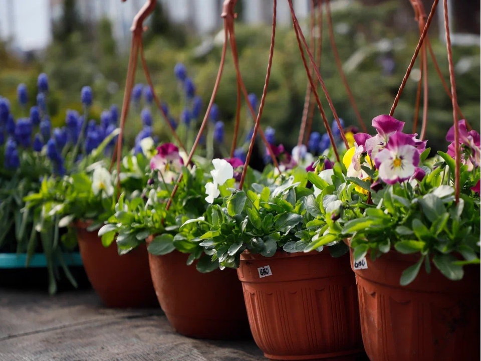 Фото: REGIONS/Наталия Надточая