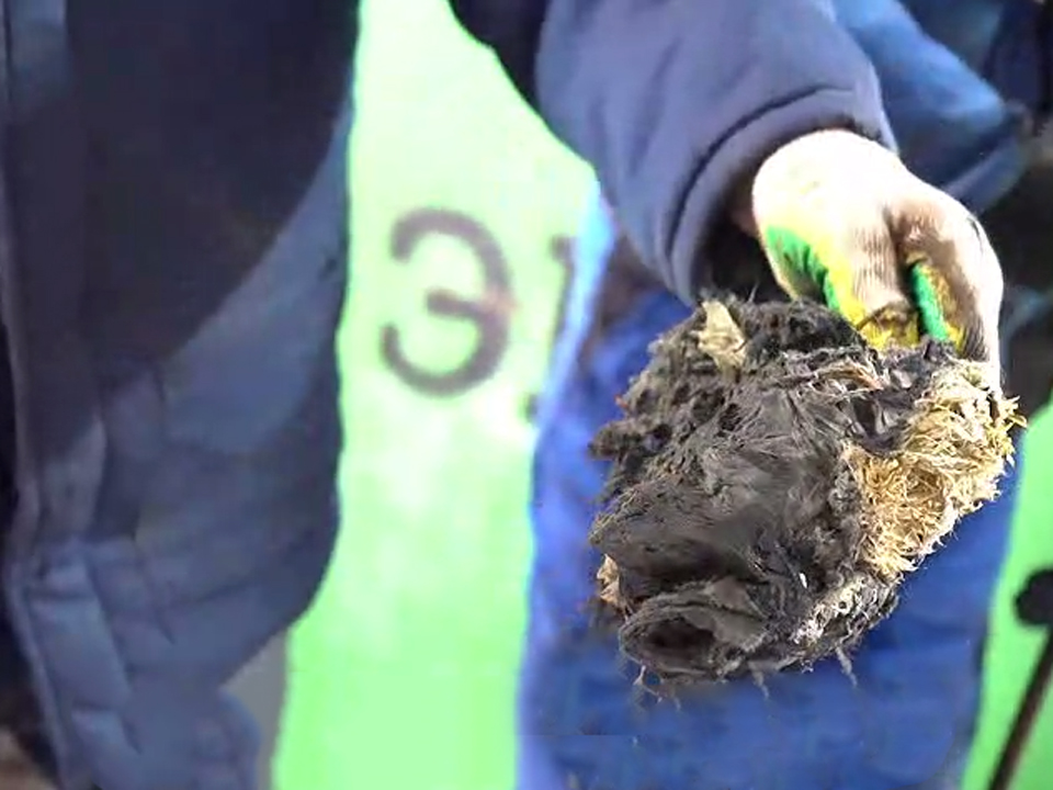 Фото: Щелковский Водоканал