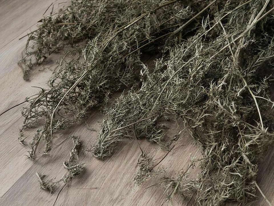 Фото: REGIONS/Сгенерировано нейросетью