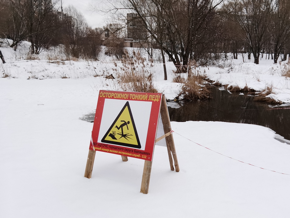 Фото: МедиаБанк Подмосковья/Анна Епихова