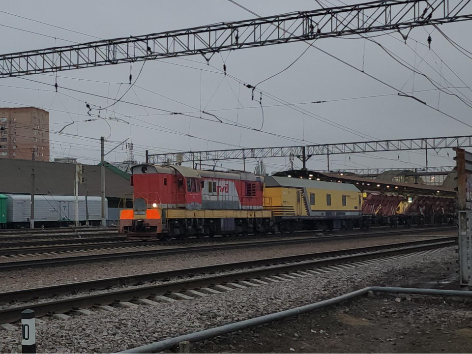 Фото: МедиаБанк Подмосковья/Наталья Лымарь