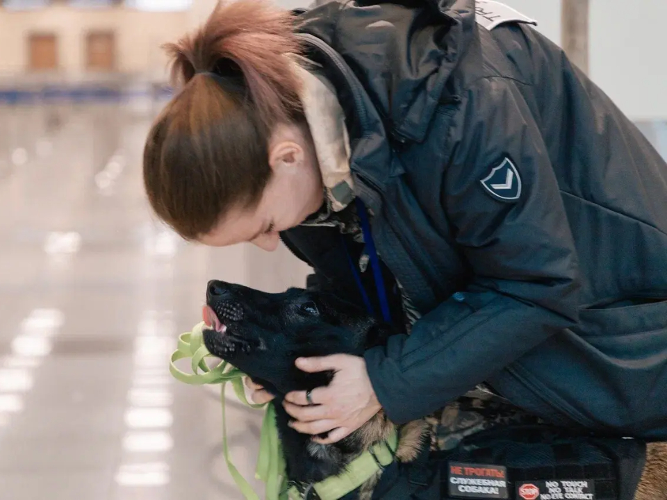 Фото: пресс-служба администрации г.о. Домодедово