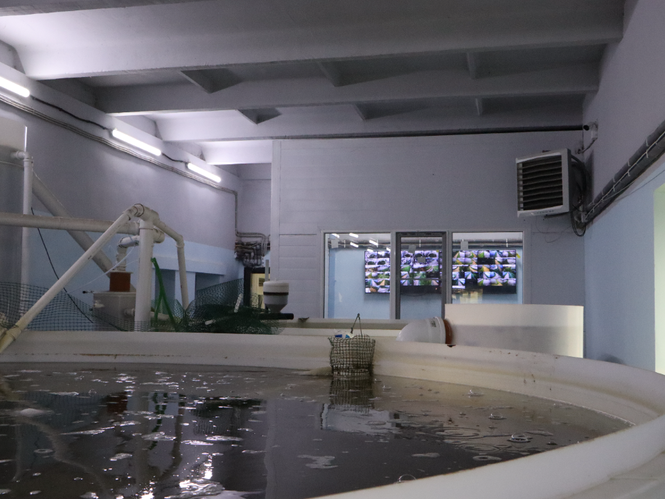 Фото: МедиаБанк Подмосковья/Ирина Матвеева