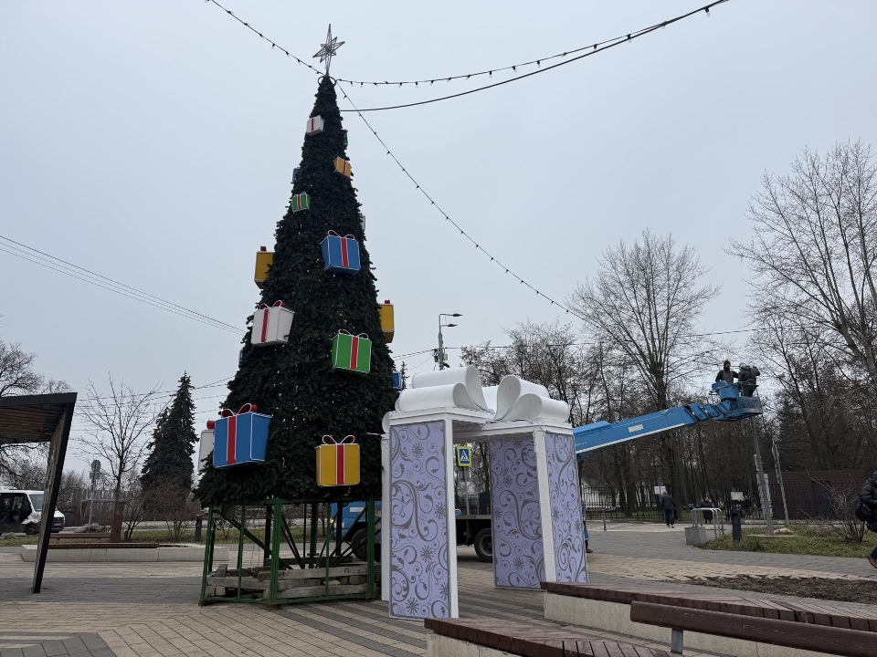 Фото: МедиаБанк Подмосковья/Анна Дука