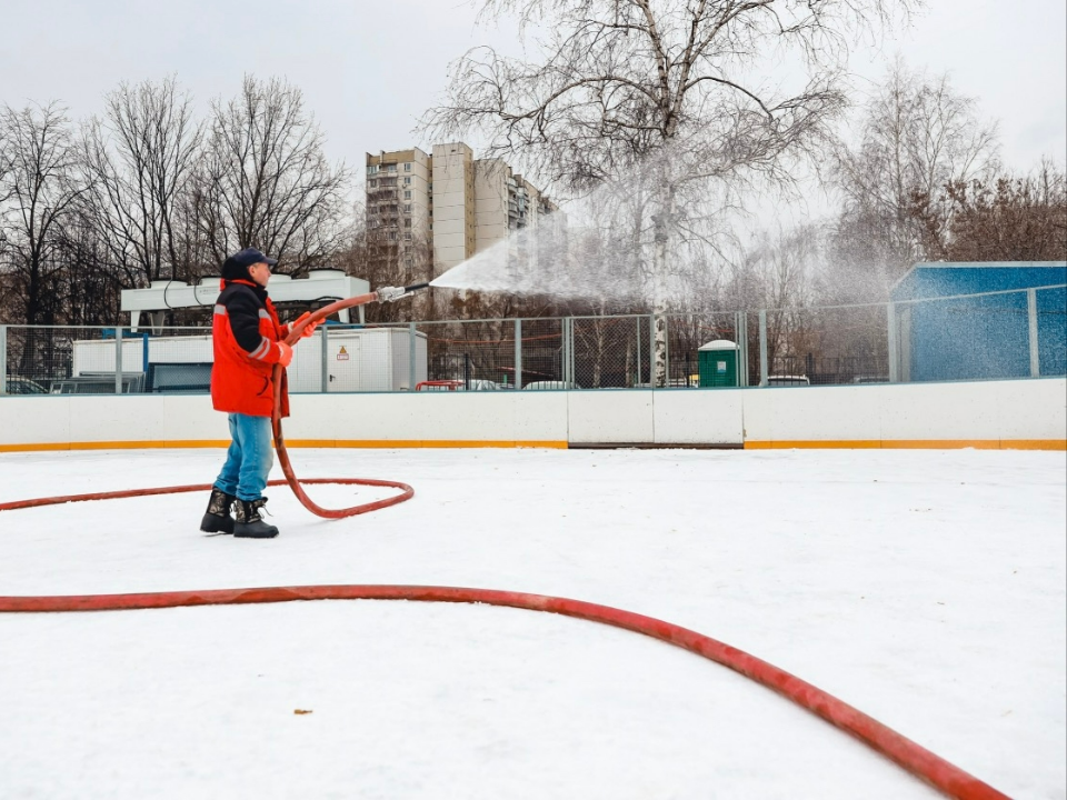 Фото: пресс-служба администрации г.о. Химки