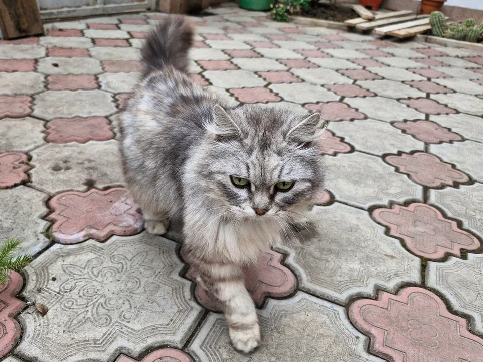 Фото: REGIONS/Наталия Надточая