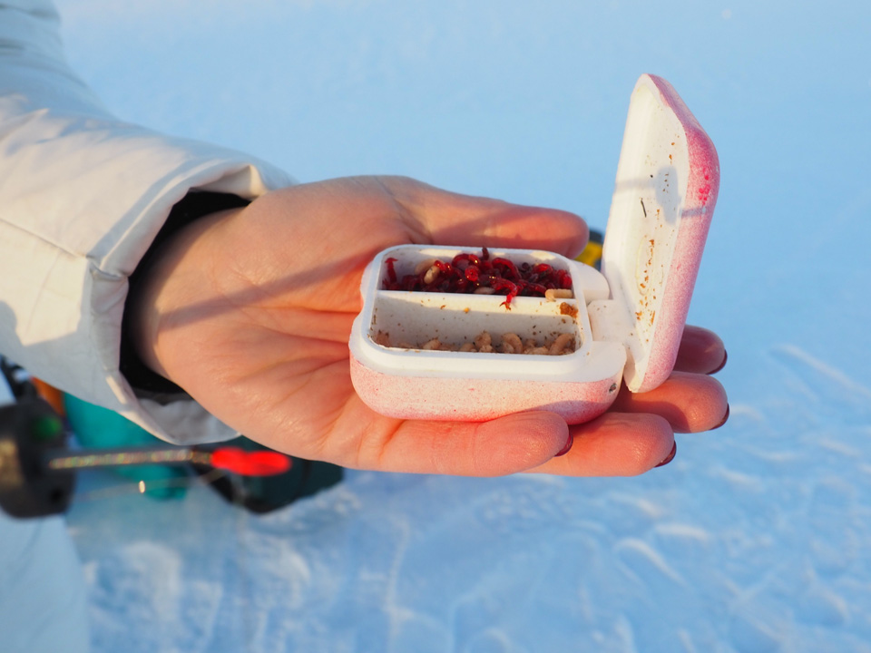 Фото: istockphoto.com/Iuliia Petrovskaia 