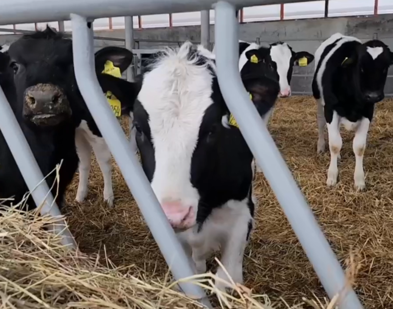 Фото: пресс-служба администрации м.о. Зарайск